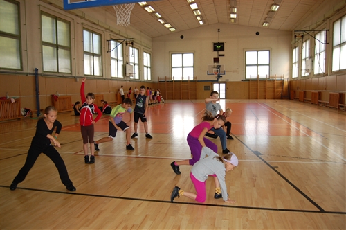Obrázek v galerii
